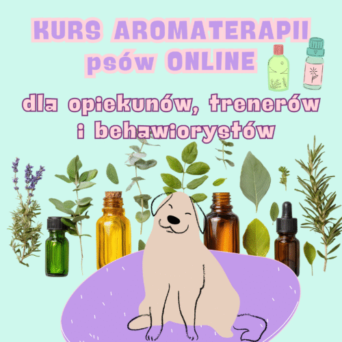 Kurs Aromaterapii dla psów