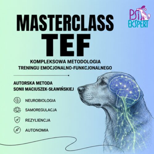 Kurs - Nowoczesna Terapia - Online