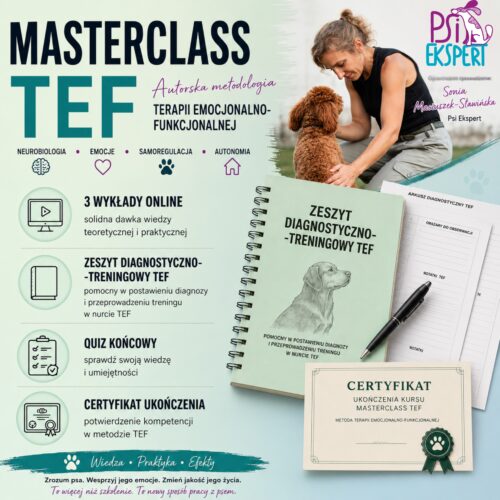 Kurs - Nowoczesna Terapia - Online